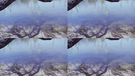 柳树的影子映在波光粼粼的水中。高清在线视频素材下载
