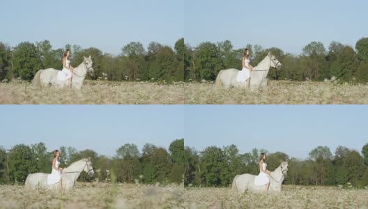 慢镜头:白衣少女无背骑白马在花海中高清在线视频素材下载