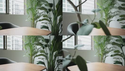 観葉植物とテーブルのある部屋高清在线视频素材下载