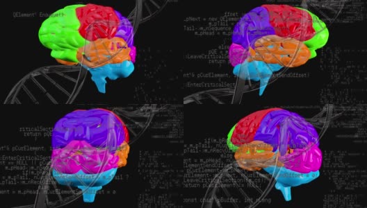 旋转的大脑和DNA螺旋高清在线视频素材下载