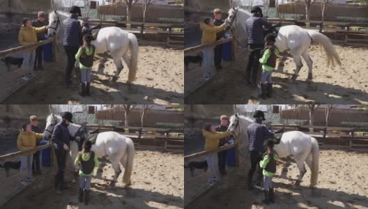 兴奋的游客在动物救援中心，抚摸着白马，而骑师准备骑他高清在线视频素材下载