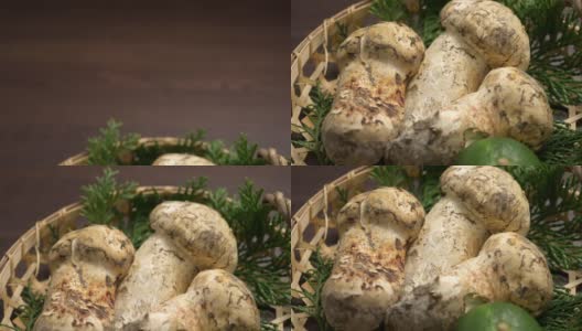 日本松茸蘑菇。秋天在日本的味道。高清在线视频素材下载