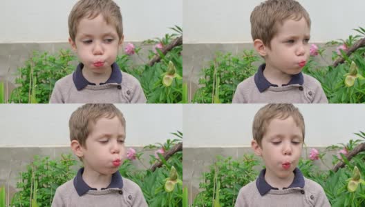 漂亮男孩吃着甜甜的草莓。小孩正在吃红色的浆果高清在线视频素材下载