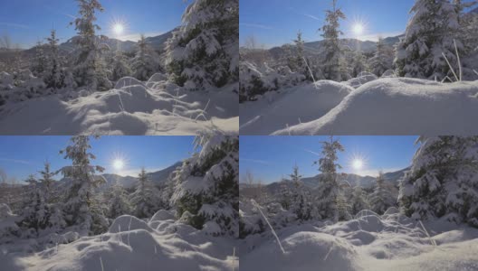 森林和山上的冬天童话。相机在雪山上移动，雪景在清晨的阳光下闪闪发光。冬天在山上，万向节拍摄高清在线视频素材下载