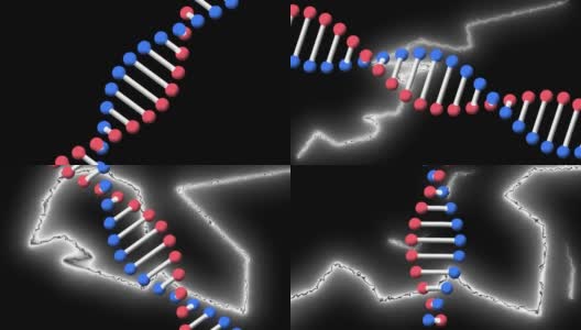 动画dna链旋转在发光的白色电流在黑色背景高清在线视频素材下载