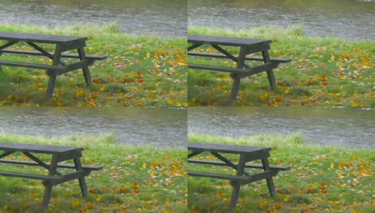 苏格兰秋天的树林长椅和美丽的河流高清在线视频素材下载