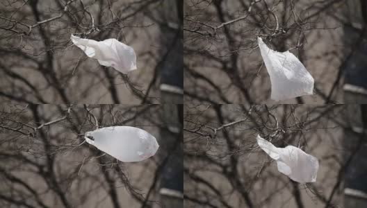 塑料袋在树上吹高清在线视频素材下载