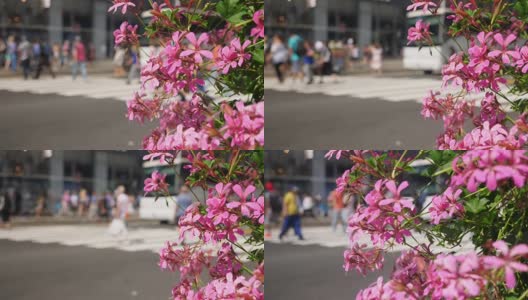 慢镜头拍摄曼哈顿人行横道上的行人高清在线视频素材下载