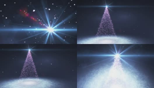 圣诞树。高清在线视频素材下载
