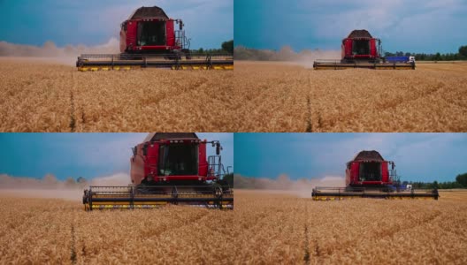 联合移动通过农村田地切割黄色的大麦秸秆。谷物收割机工作在田野采集小麦作物。农学或收获学的概念。前视图。高清在线视频素材下载