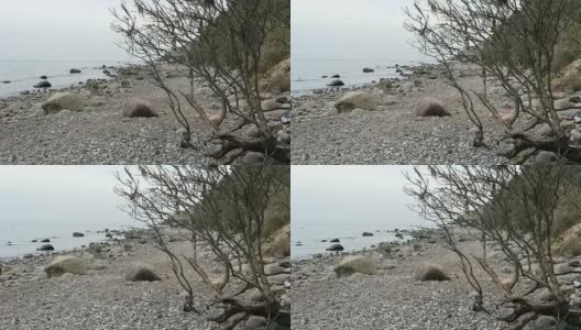 Hiddensee岛海岸景观(梅克伦堡- vorpommern，德国)高清在线视频素材下载
