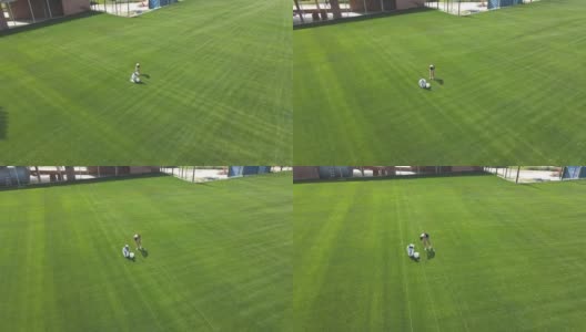 女孩们用手在足球场上除草。用草清理足球场。为赛季准备足球场高清在线视频素材下载