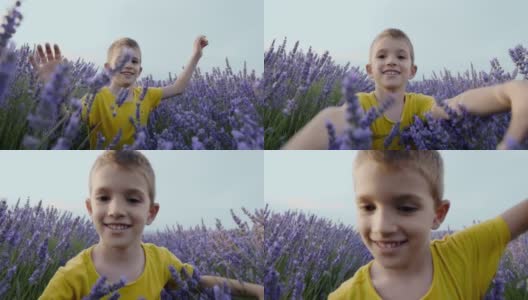 小男孩在薰衣草地里奔跑高清在线视频素材下载
