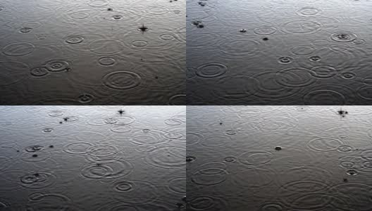雨水落在水面上高清在线视频素材下载