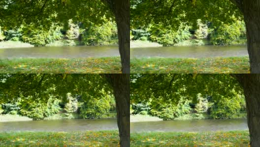 秋天的树和美丽的河在苏格兰高清在线视频素材下载