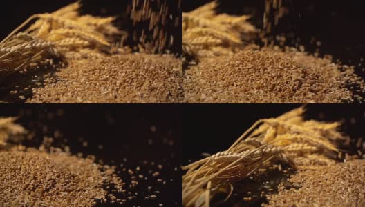 麦粒以慢镜头落下，背景是一捆小麦。在滑块上拍摄高清在线视频素材下载