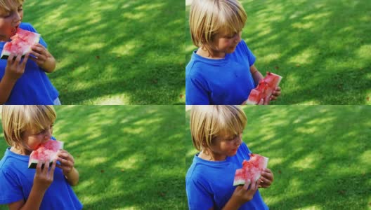 在公园里吃西瓜的男孩高清在线视频素材下载