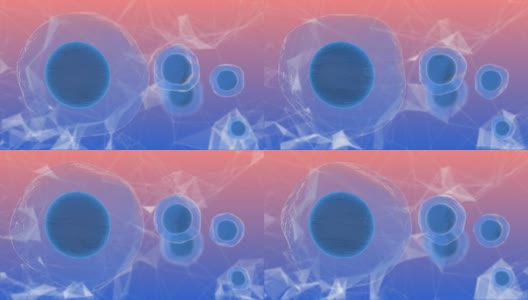 胚胎干细胞称为胚泡的早期胚胎医学研究3D渲染高清在线视频素材下载