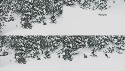男子滑雪板通过树，雪转弯下坡，在飞机坠毁，降落花球，冬季极限运动喷深粉末高清在线视频素材下载