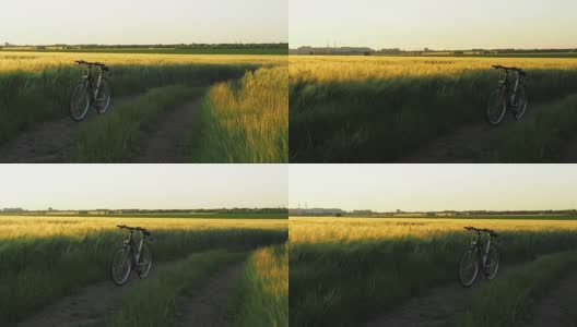 骑自行车在自然界中高清在线视频素材下载