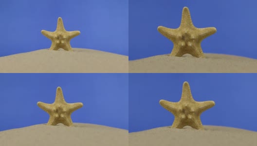 美丽的海星躺在沙滩上。孤立的高清在线视频素材下载