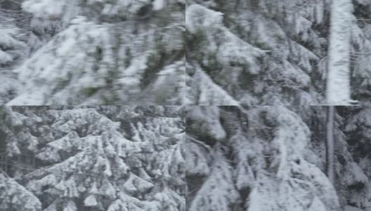 冬季驾驶——驾驶在崎岖不平的乡村道路上，穿过一片白雪皑皑的森林——手持拍摄高清在线视频素材下载