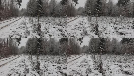 冬天的早晨，森林里下雪了高清在线视频素材下载