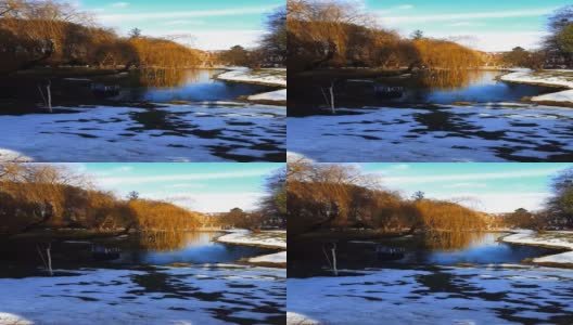 冬天的公园。鸽子和野鸭在池塘边。垂直视频。高清在线视频素材下载