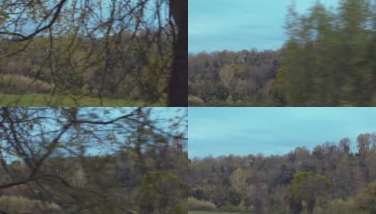 罗马乡村的树木高清在线视频素材下载