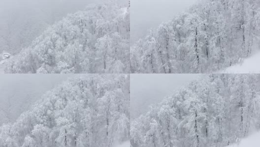 鸟瞰山区冬季森林与冰冻的树木覆盖在农村的冰高清在线视频素材下载