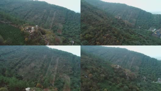 鸟瞰图的白色宝塔被绿色的山丘和茶梯田，中国。高清在线视频素材下载