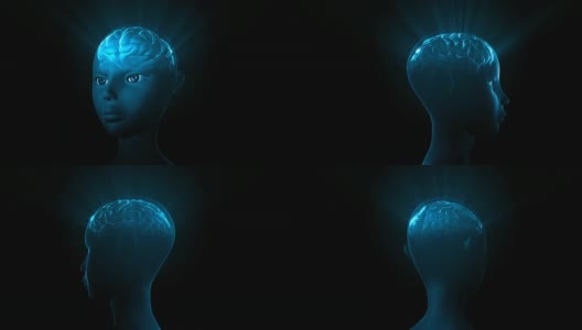 人类的大脑高清在线视频素材下载