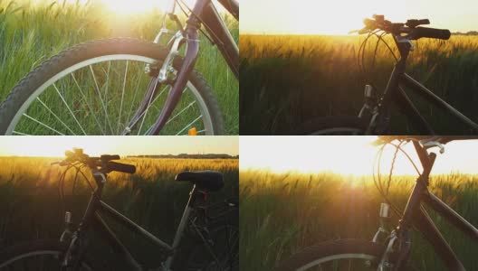 骑自行车在自然界中高清在线视频素材下载