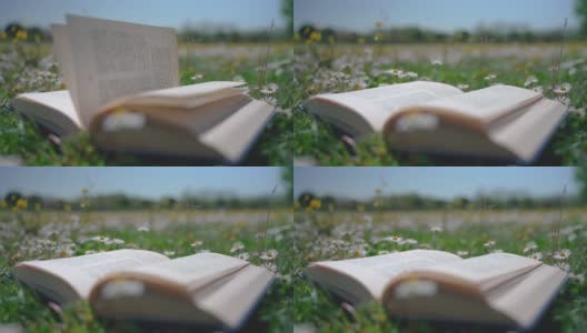 草地上的书高清在线视频素材下载