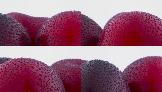 微距拍摄三个大紫梅子的上部带水滴。慢慢旋转在转盘上孤立的白色背景。特写镜头。高清在线视频素材下载