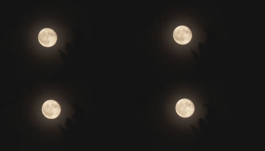 满月在黑暗的夜晚升起高清在线视频素材下载