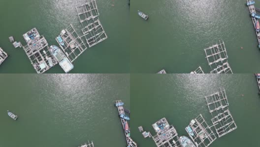 香港南丫岛索罟湾的海鱼养殖筏子高清在线视频素材下载