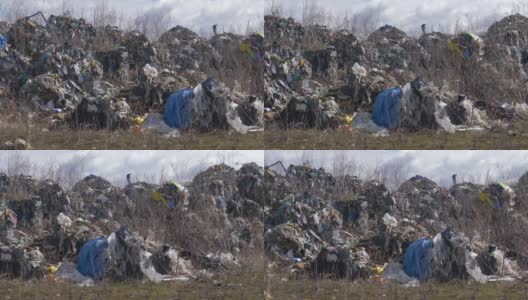 非法塑料转储。从德国出口的有毒塑料被收集在波兰的空采石场中，不进行回收。高清在线视频素材下载