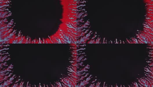 水晶发芽。红色背景上的抽象黑点。抽象的垃圾艺术，墨水颜料扩散爆炸的背景。高清在线视频素材下载