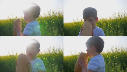 小男孩手里拿着面包在背景地里，快乐的小男孩在公园外面吃面包，饥饿的孩子吃食物高清在线视频素材下载