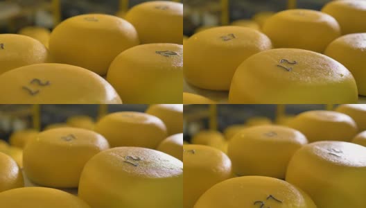 近距离拍摄的现成奶酪在奶酪工厂。高清在线视频素材下载