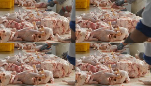 食品加工厂，鸡肉加工厂高清在线视频素材下载