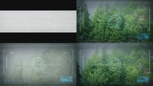 无人机POV飞过迷雾森林高清在线视频素材下载