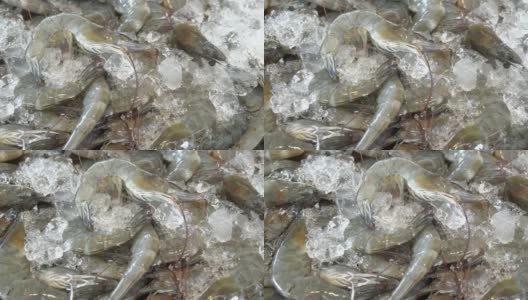 鲜虾堆着冰高清在线视频素材下载