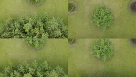 无人机鸟瞰花园与草坪和绿色植物竹林高清在线视频素材下载