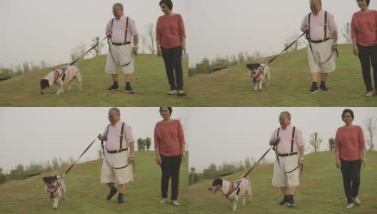 亚洲老夫妇和狗在假期高清在线视频素材下载