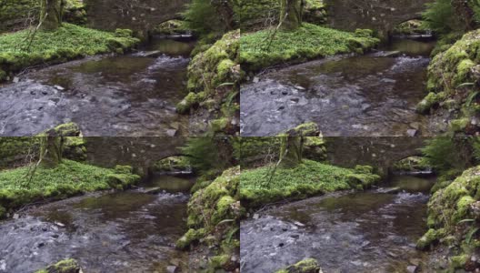 乡村环境中的小溪高清在线视频素材下载