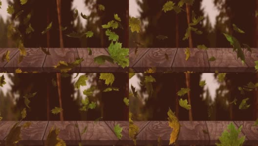 数字动画的多秋叶漂浮在木材表面对森林高清在线视频素材下载