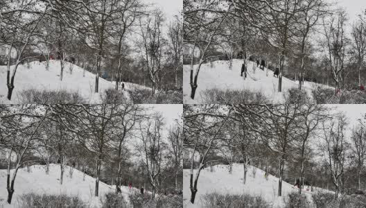人们在冬季公园的雪坡上乘坐雪橇的时间流逝高清在线视频素材下载
