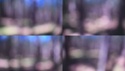 森林在春季行走效果模糊高清在线视频素材下载